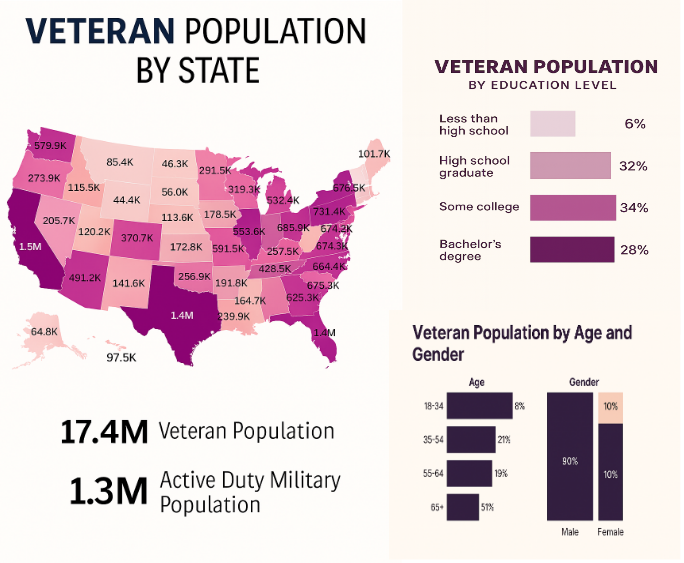 Military Demographic Overview